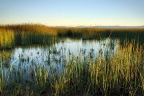 577804_355376277858629_707354731_n