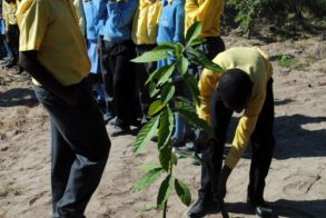 292629_403117483054493_241863651_n