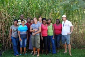 548273_374971415869100_708119152_n