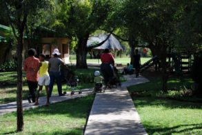 551185_374971029202472_896094835_n