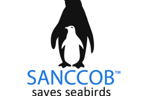 57234034_2247795925241232_6868160036430938112_n