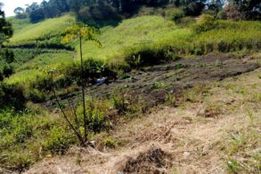 603458_439601216072786_1773059254_n