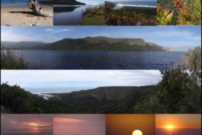 Conservation-in-action