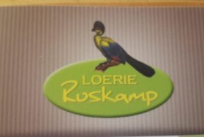 10917802_1587941381435422_3728296258199973151_o