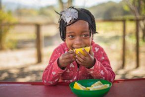 Pebbles Project Nutrition