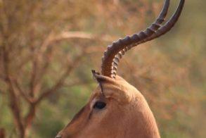 Photo 26-04-2020, 14 44 47