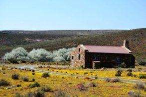 10653416_295070344009586_4188006624761856234_n