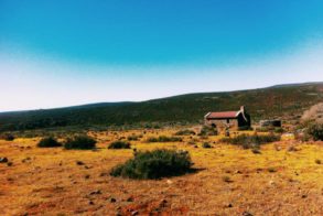 10660376_294471557402798_4566926797816037771_n