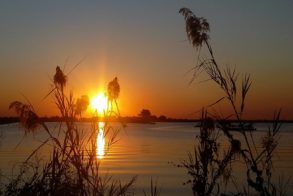 12809620_476202482585115_968633870185091664_n