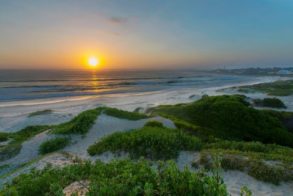 12881_877963698913527_6023079736604969898_n