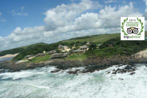 13816_10153023286341233_4124423747237847416_n