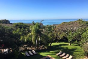 13906797_10154280251871425_7872244623761616825_n