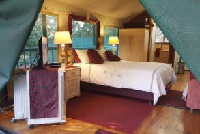 13975319_984946908271050_1654022378780654641_o