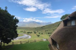 16939146_1110966902383553_8424130402154905095_n