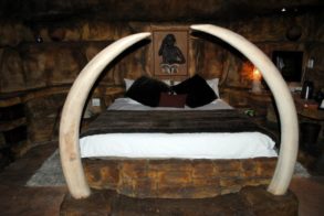 179598_422597317773176_8466731_n