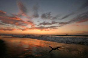 19084_507924699259300_335362595_n