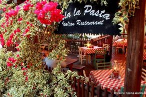 23244212_1770586212973659_6637845925605646356_n