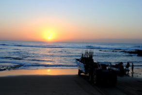 250964_441888962510678_1113487281_n