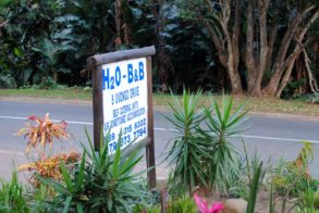 252630_441889462510628_1151912783_n