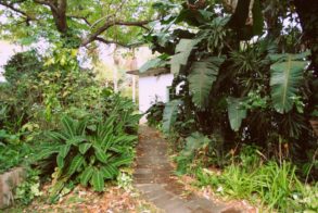 255277_441890329177208_682650878_n