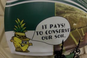 255304_451947294838178_1719310539_n