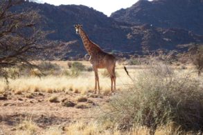 27747510_1815526421799962_1646198103934263222_o