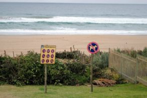 303627_439589539407287_607669746_n