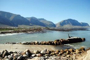 304491_472618906104350_851414235_n