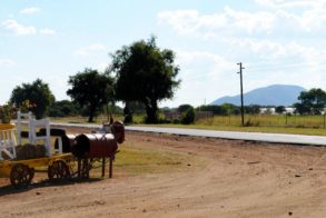 306518_392533114112930_1677681491_n