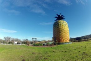 318827_451945681505006_257794748_n