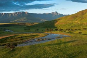 31967977_1434552456691661_1143491212418744320_o