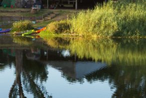 35705143_10156435026977418_161903435082366976_n