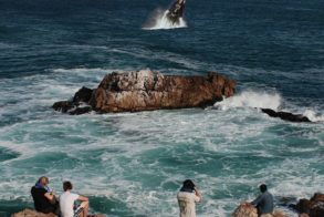 35792db5c38692225ba4ad2a220138b3