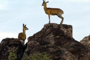 374852_484679891552769_298369904_n