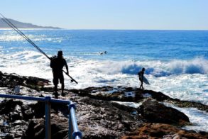 376524_439596939406547_755554620_n