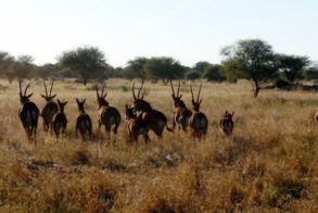 380761_383150198384555_668237510_n