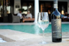 387964_321796691186573_102196926_n