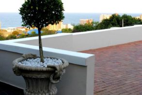 391266_439591159407125_2064647329_n