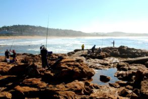 392971_439596996073208_620617861_n