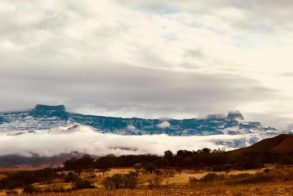 39409103_1542645915882314_2654109997302022144_n