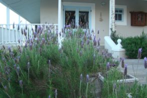 39453359_2014472138617529_6736751908532256768_o