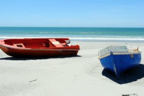 394574_319910794708496_129676137_n