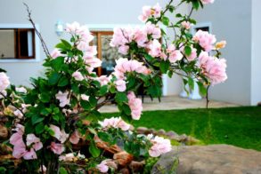 394689_439590329407208_2037413763_n