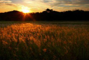 394817_507925002592603_1450140612_n