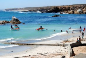 395418_333808186652090_262677992_n