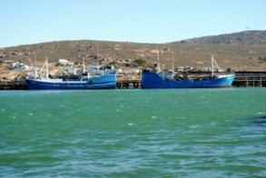 403218_319911111375131_218258374_n