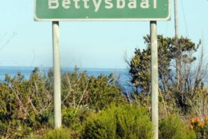 408250_472618509437723_1676423189_n