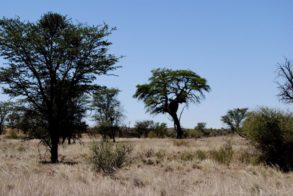 418346_365458386820403_2083790313_n