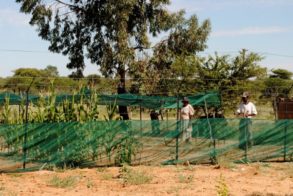 418573_367453003287608_675835847_n