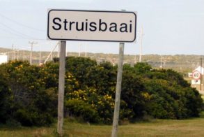 418794_459275037438737_2136057881_n